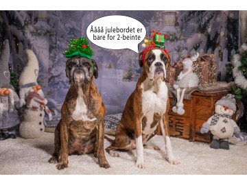 Bli med p&aring; julebord!